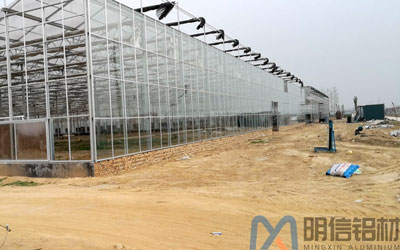 Glass greenhouse in Heze City, China